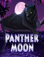 วิธีเล่น เว็บ พนัน ฟรี เครดิต ไม่ ต้อง ฝาก สุดฟินข้ามคืน